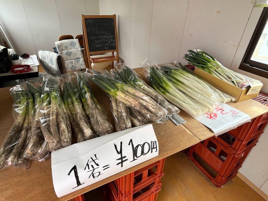 熊谷市広瀬に無人の長ねぎ直売所オープンしました