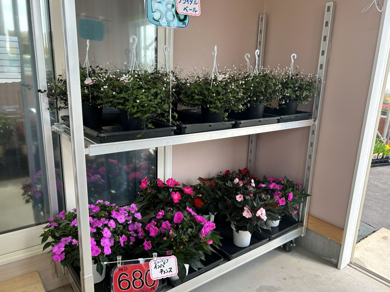花shopm6