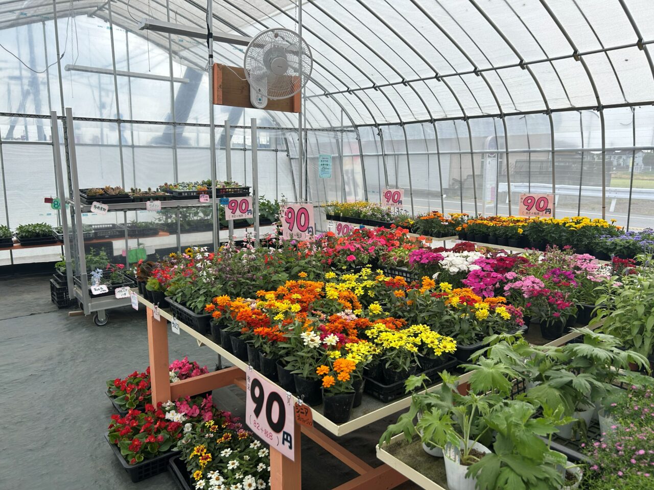 花shopm5