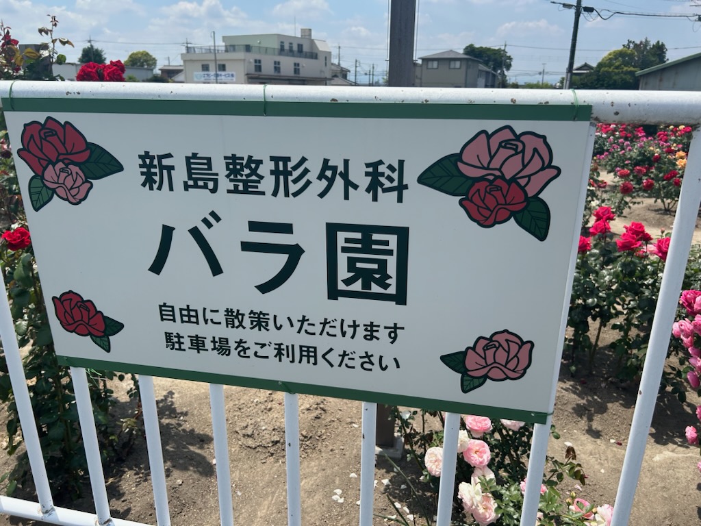 新島整形看板