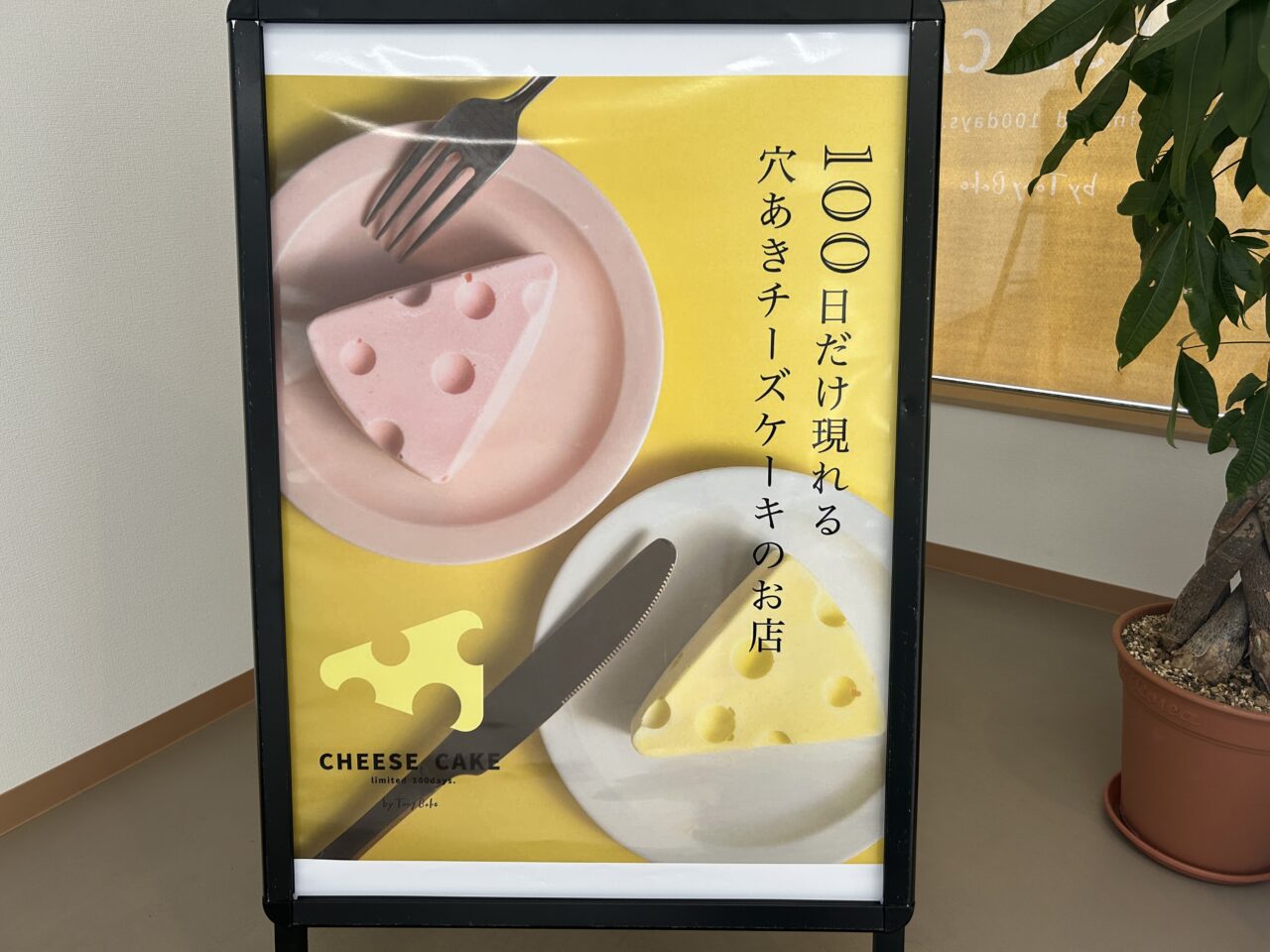 チーズケーキ1