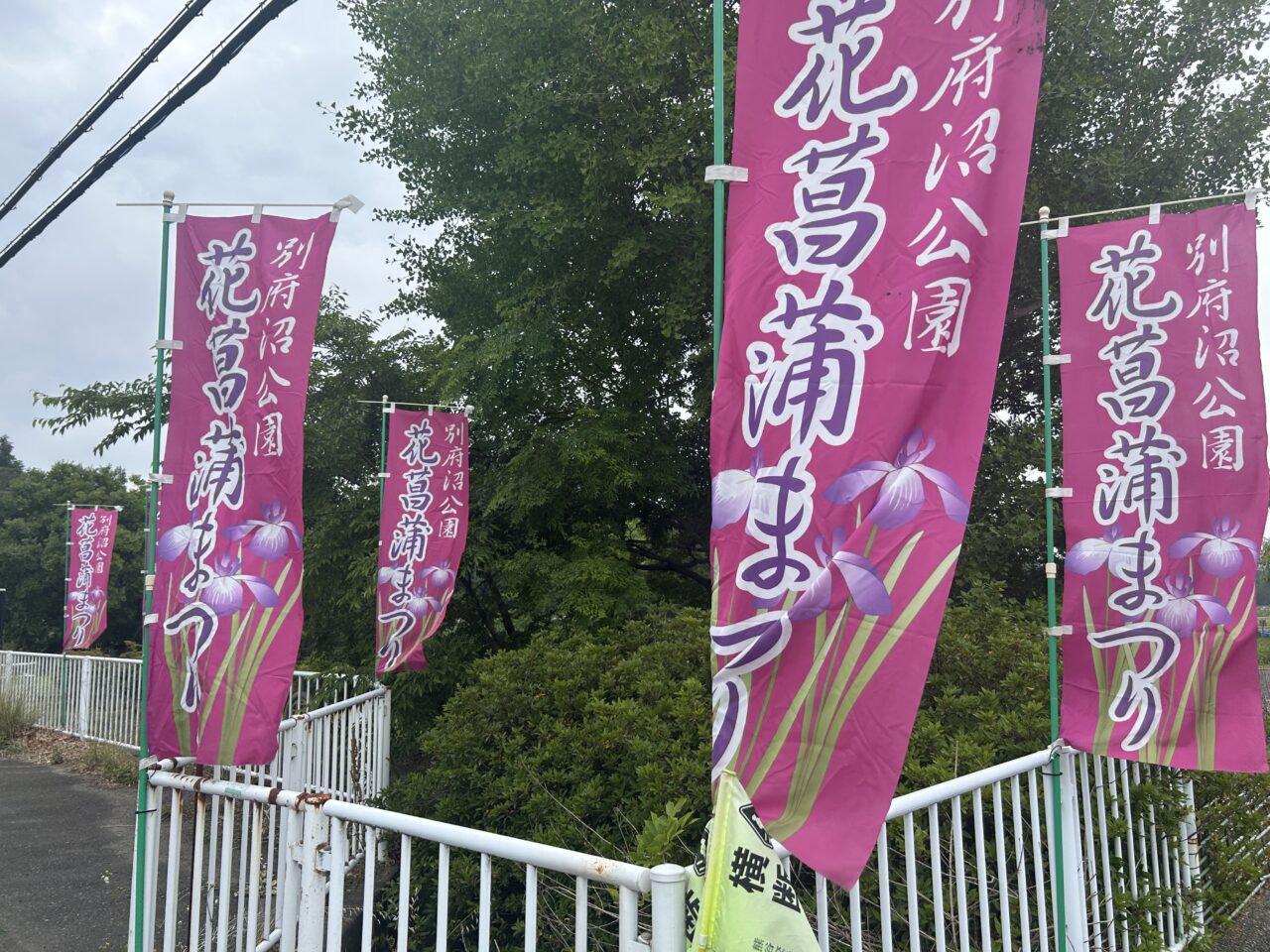 別府沼公園6
