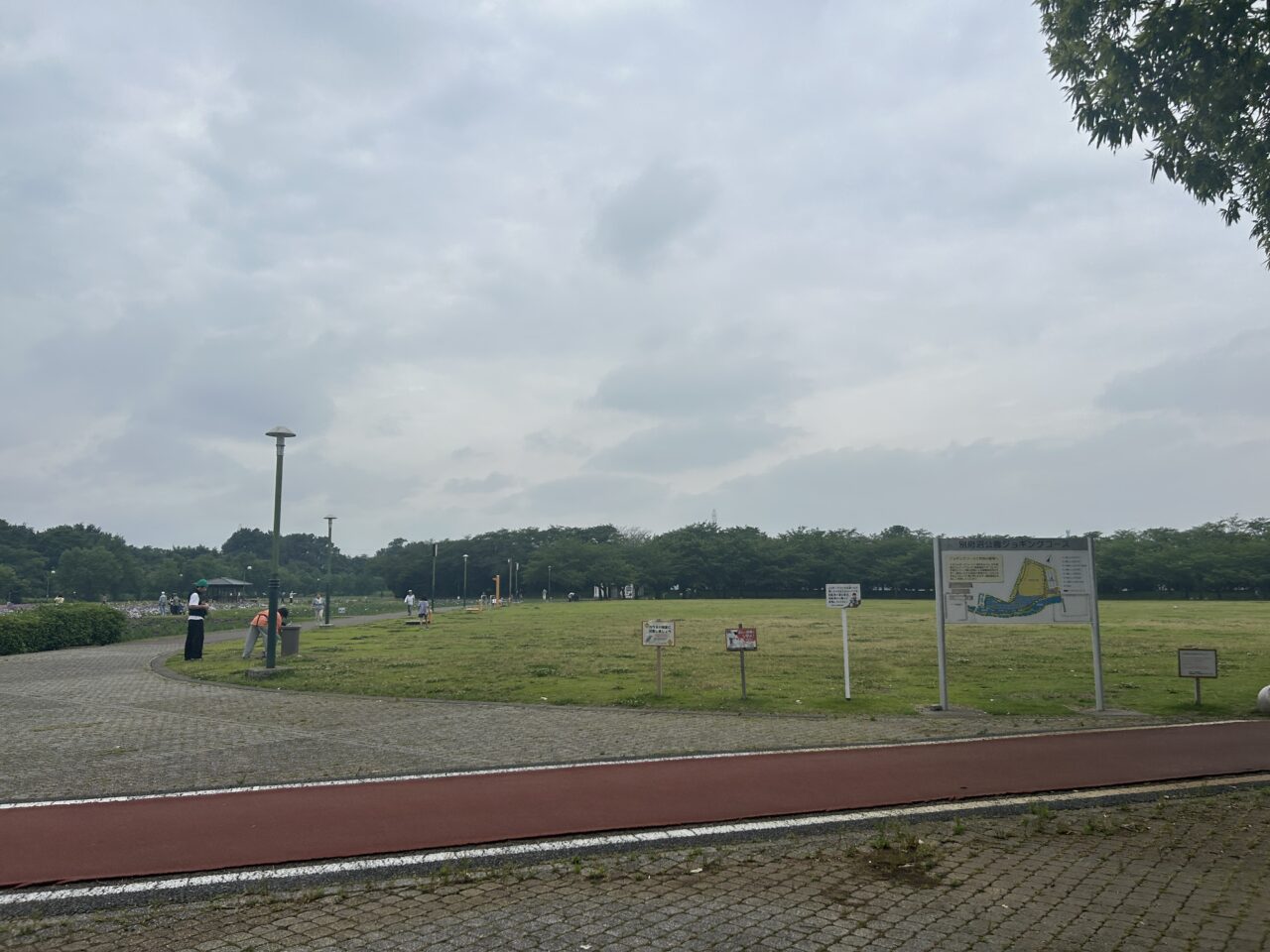 別府沼公園4