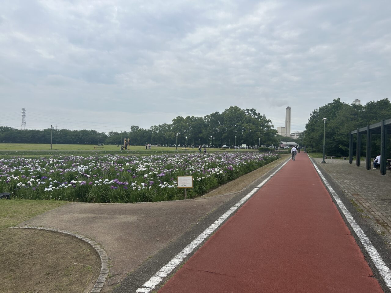 別府沼公園3