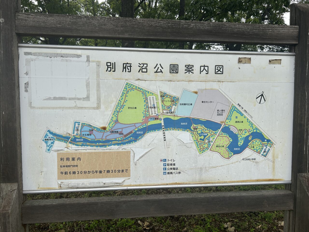 別府沼公園5