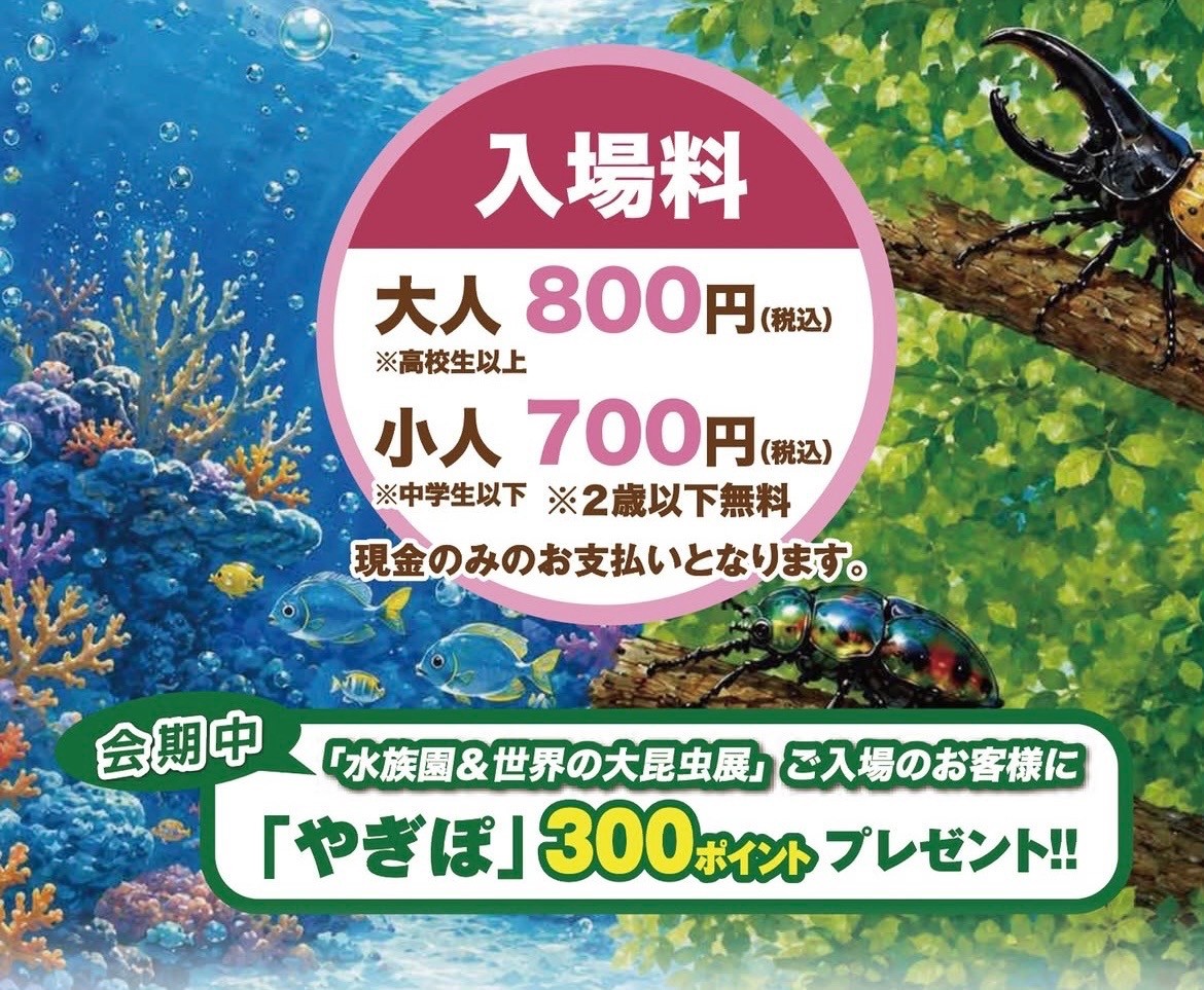 水族園7