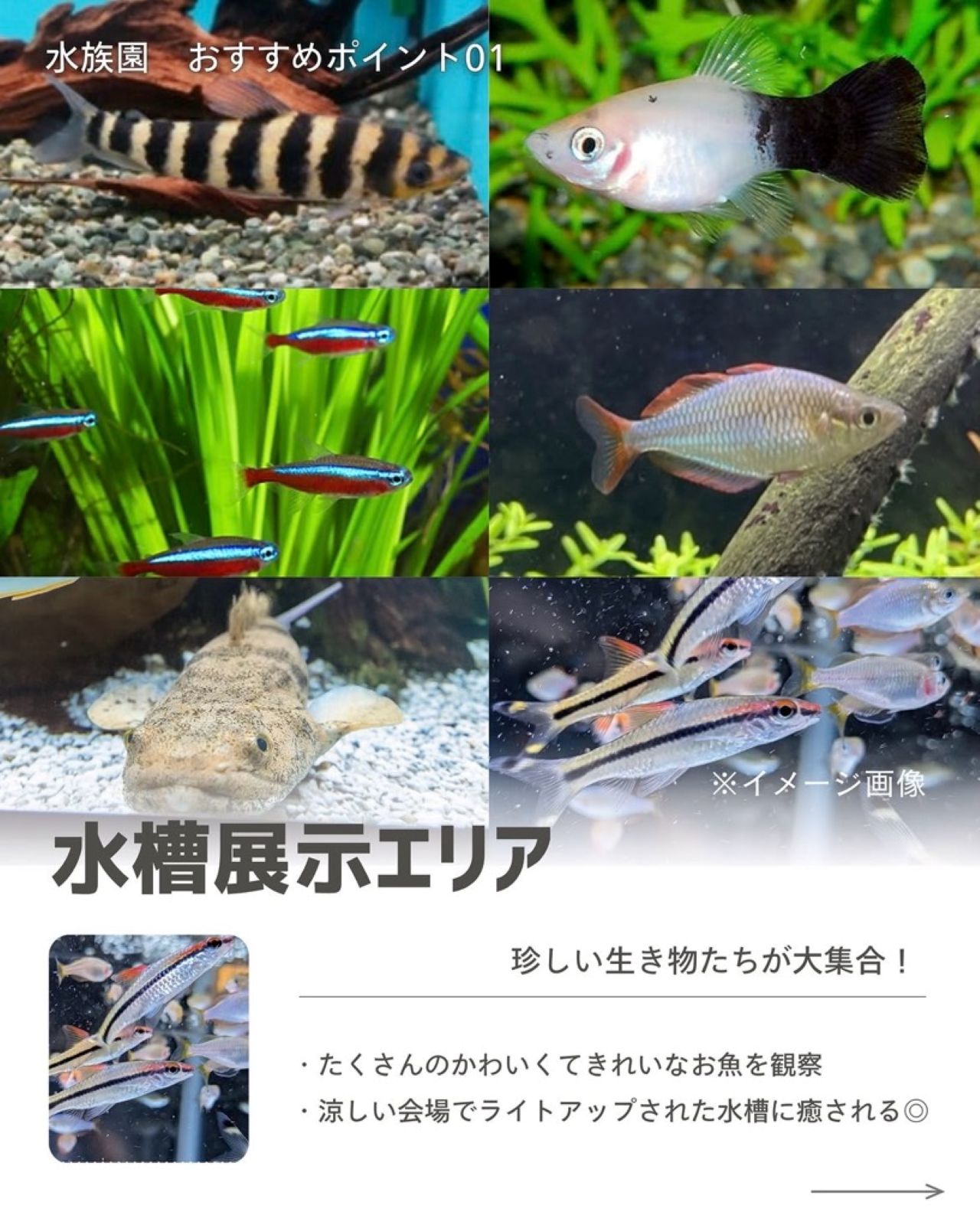 八木橋2