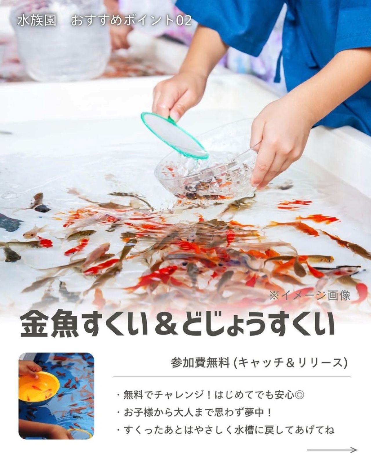 八木橋3