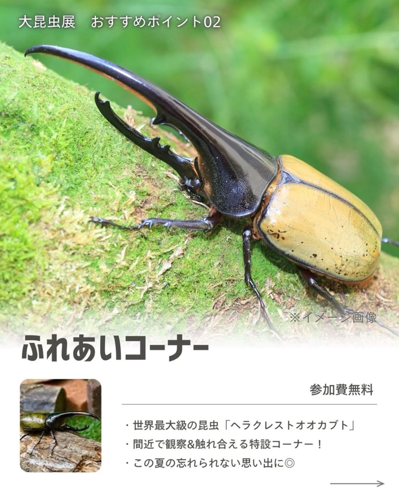 八木橋7