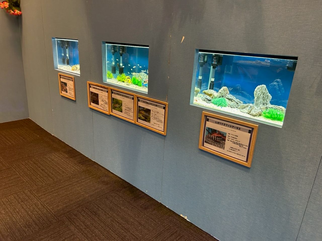 水族園2